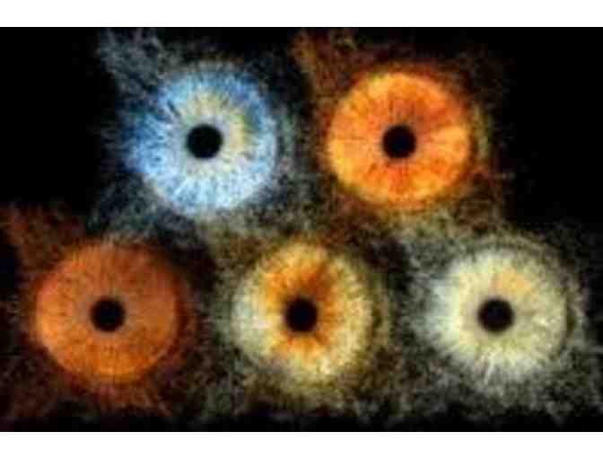 Iris Galerie - 40x40cm Duo Iris Print with Frame