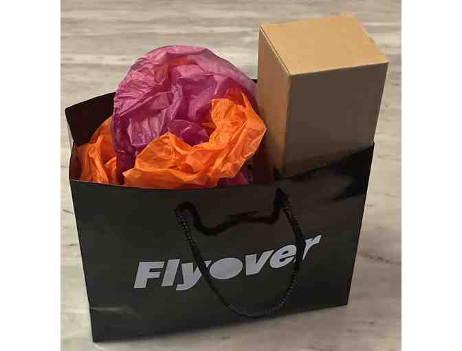 Flyover at Navy Pier - 4 Tickets and Flyover Gift Bag