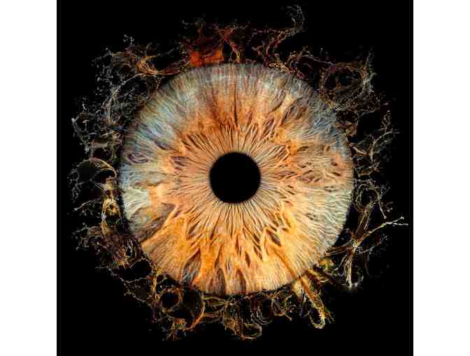 Iris Galerie - 30x30cm Duo Iris Print with Frame