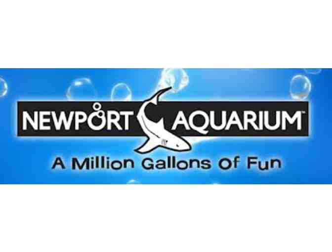 2 Newport Aquarium Tickets - (Shark Bridge experience included)