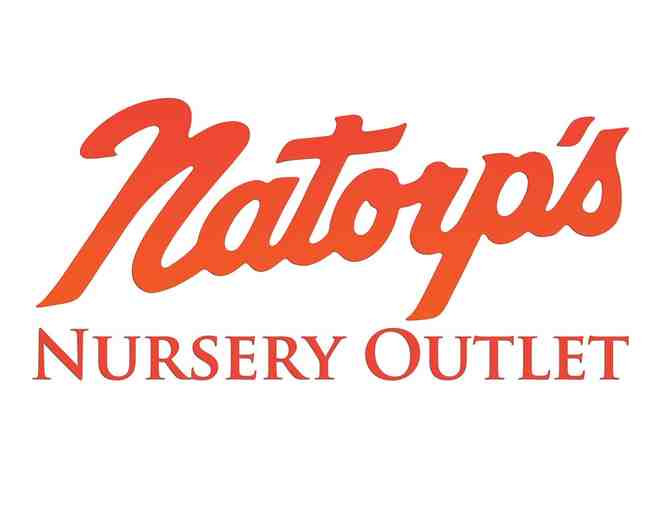 Natorp's Nursery- $30 Gift Certificate