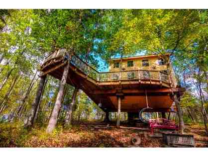 One night stay - TreeHOUSE built by PETE NELSON the TREEHOUSE Master! -Germantown, KY