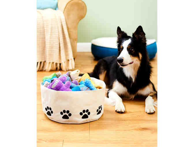 Pet Toy Storage Bin