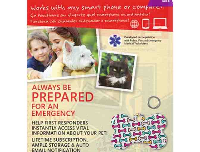 Multicolored Bone Pet Tag