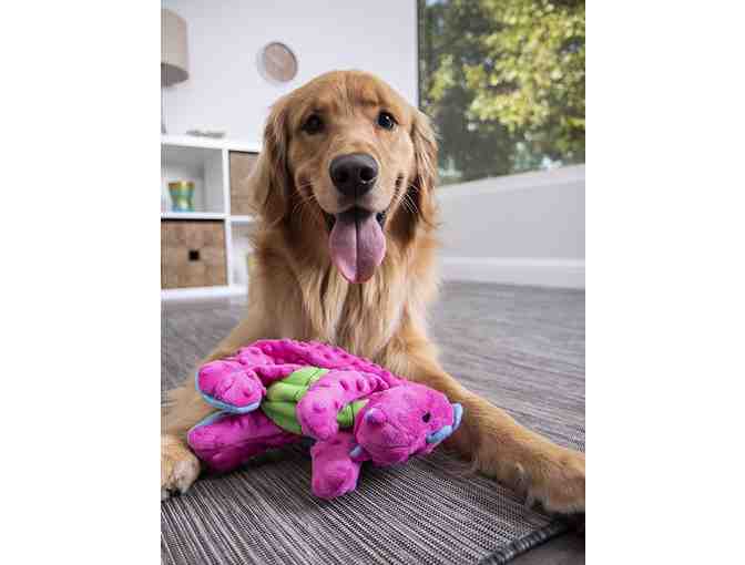 Dragon with Chew Guard Plush Squeaker