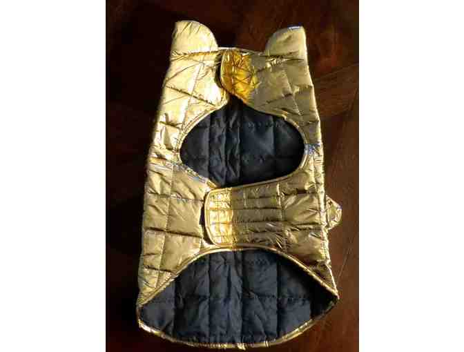 Gold Puffer Dog jacket