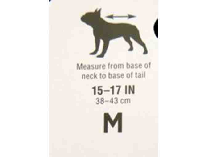 Gold Puffer Dog jacket