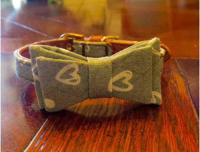 Designer Dog Collar - small