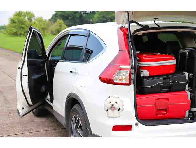 Cute 3-D Maltese Decal Set