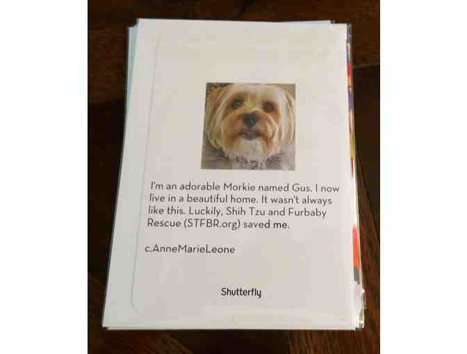 Gus Greeting Cards - Happy Birthday with Adorable Morkie