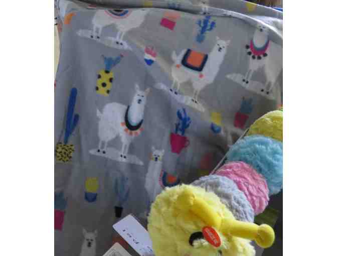 Folding Toy Box, Dog Toys, and Llama Blanket