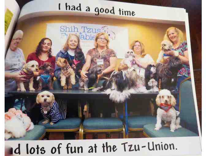 Flying Gus - Adorable Morkie Dog goes to a Rescue Reunion