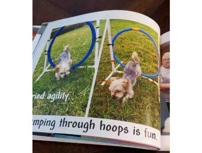 Flying Gus - Adorable Morkie Dog goes to a Rescue Reunion