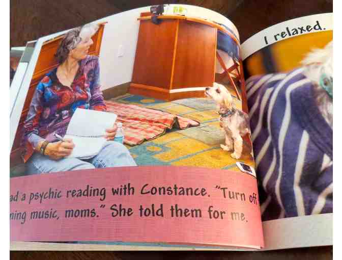 Flying Gus - Adorable Morkie Dog goes to a Rescue Reunion