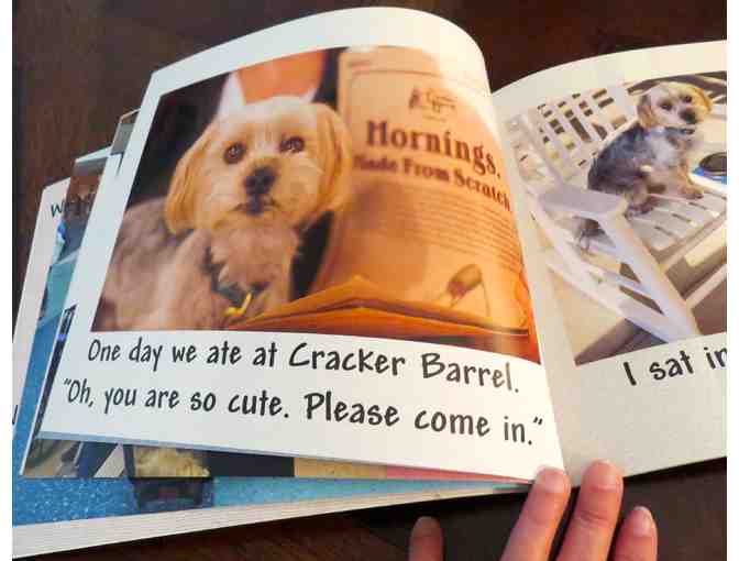 Flying Gus - Adorable Morkie Dog goes to a Rescue Reunion