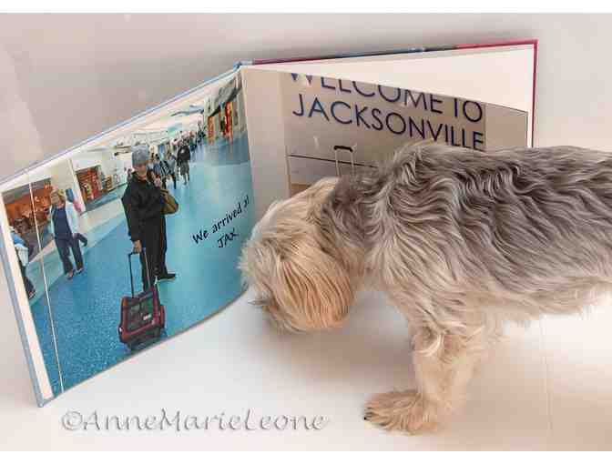 Flying Gus - Adorable Morkie Dog goes to a Rescue Reunion