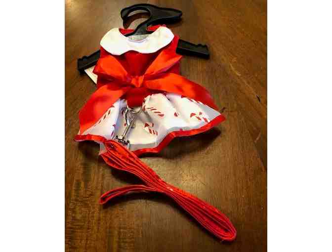 Dog Christmas Dress XS