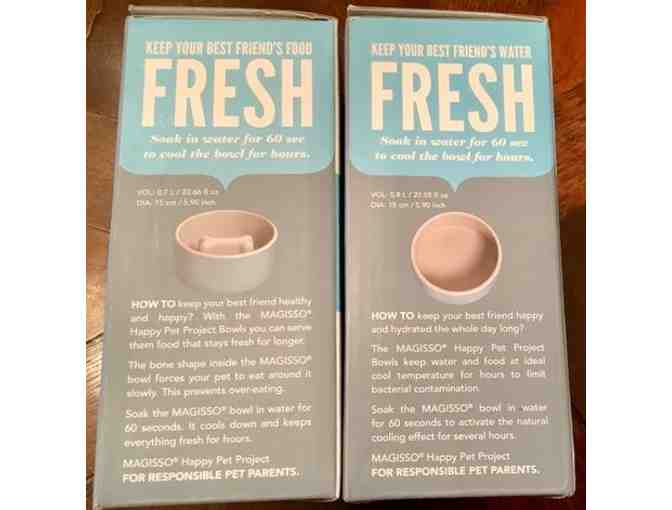 Paikka Cooling Ceramic Water and slow feed Food Bowlsfor your Pet Set of 2