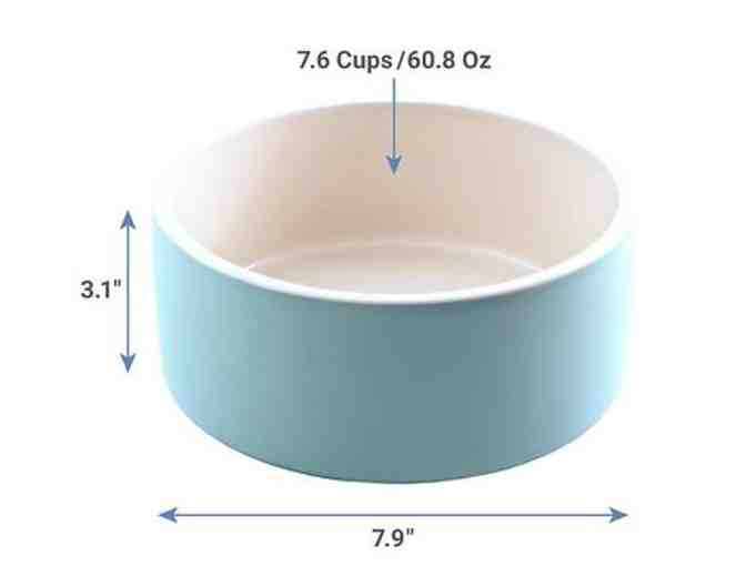 Paikka Cooling Ceramic Water and slow feed Food Bowlsfor your Pet Set of 2