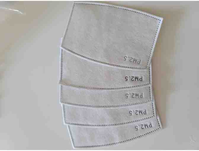 Dog non medical mask, 2 storage cases and filters