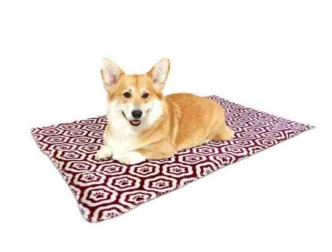 AKC Pillow and Blanket