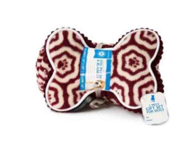 AKC Pillow and Blanket
