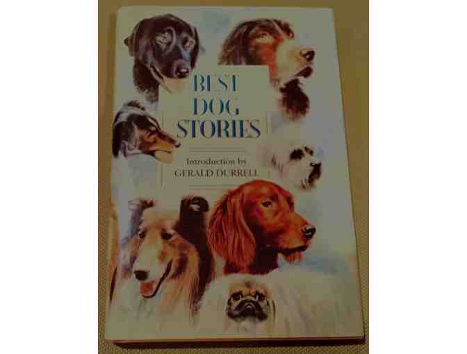 Cuddle and Read Bundle