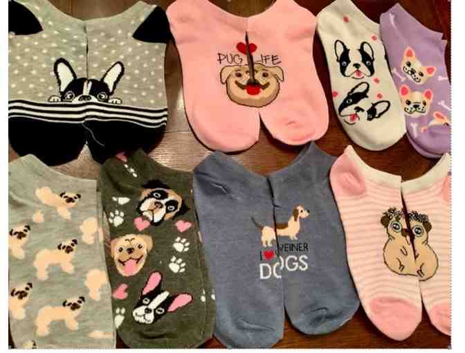 Novelty Ankle Socks for Dog Lovers 8 pairs - Photo 1