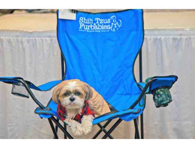 Folding Chair with Carrying Bag with Rescue Logo - Photo 1