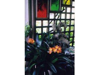 Landscape Design Consult with Leslie Scott