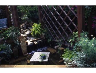 Landscape Design Consult with Leslie Scott