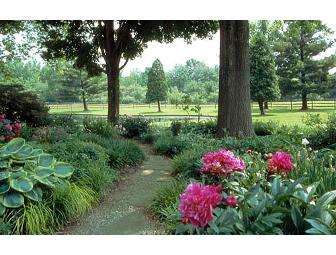 One Hour Consultation on Design Concepts for Your Garden with Ann Rosmarin