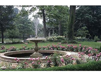 One Hour Consultation on Design Concepts for Your Garden with Ann Rosmarin