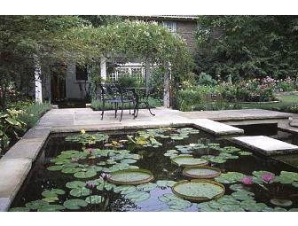 One Hour Consultation on Design Concepts for Your Garden with Ann Rosmarin