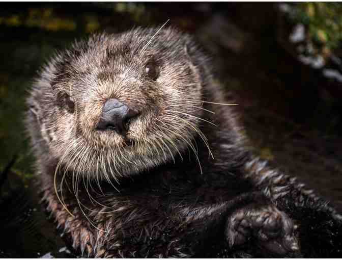 Family Weekend Getaway in Monterey