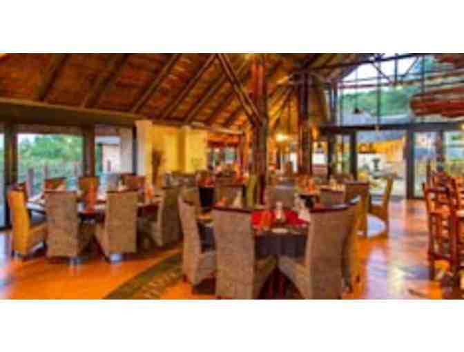 Zulu Nyala South African Safari - Chance of a lifetime!