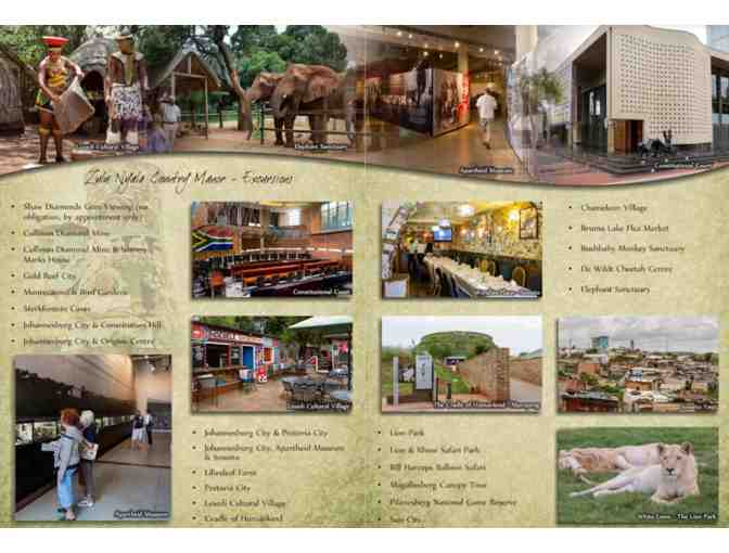 Zulu Nyala South African Safari - Chance of a lifetime!