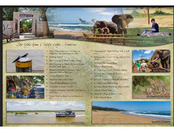 Zulu Nyala South African Safari - Chance of a lifetime!