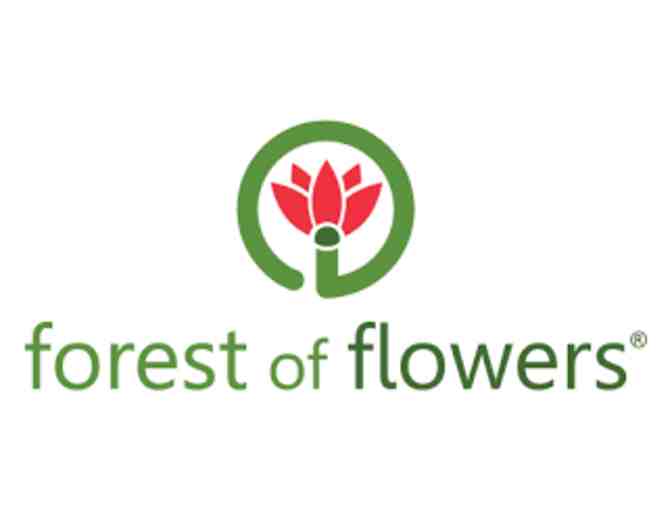 Forest of Flowers - Dozen Roses