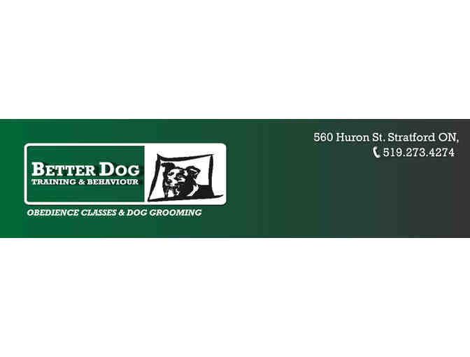 Better Dog Training & Behaviour - Level One Obedience Class