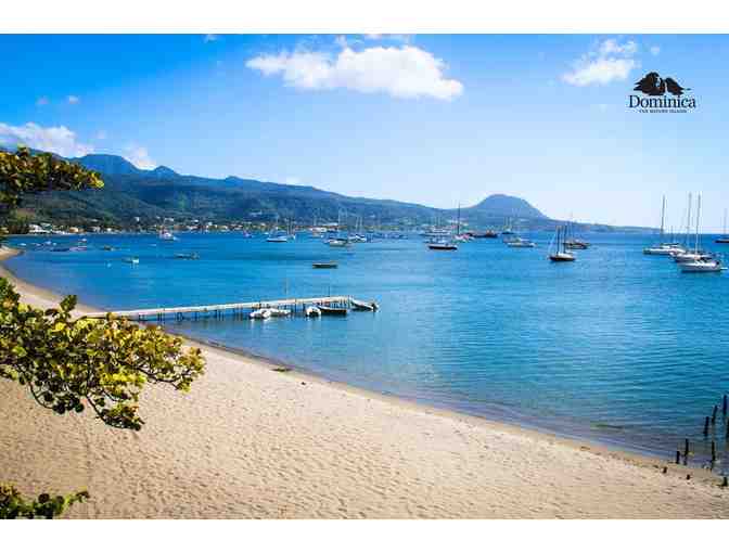 6 nights in an ocean view suite at Cabrits Resort & Spa Kempinski - plus daily breakfast