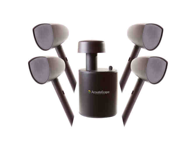 Acoustic Landscape AS41 Hi-Fi Landscape Audio System