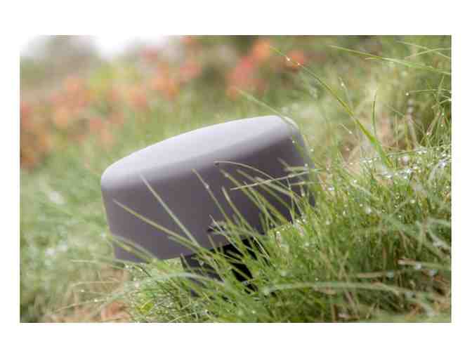 Acoustic Landscape AS41 Hi-Fi Landscape Audio System