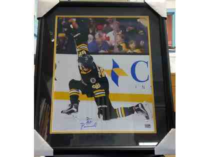David Pastrnak autographed 16X20 picture, with aunthenticy stamp