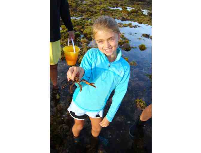 3 hour Tidepool Excursion for 4 from Coast Encounters