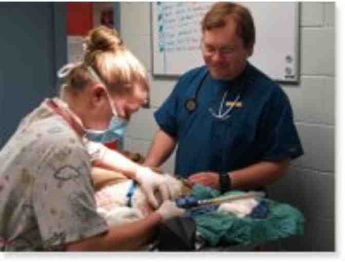 $50 Mann Memorial Veterinary Clinic Gift Card