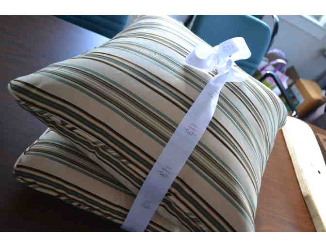 Two large pillows donated by Cloth Interiors