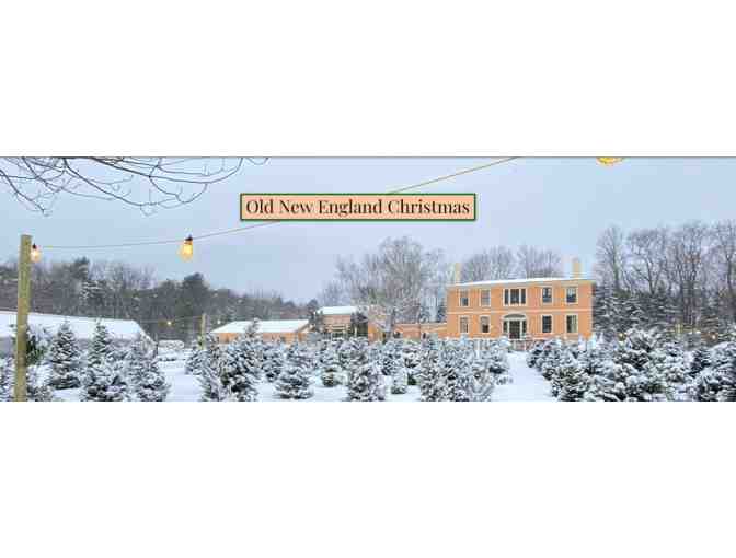 Christmas Tree from Wallingford Farm