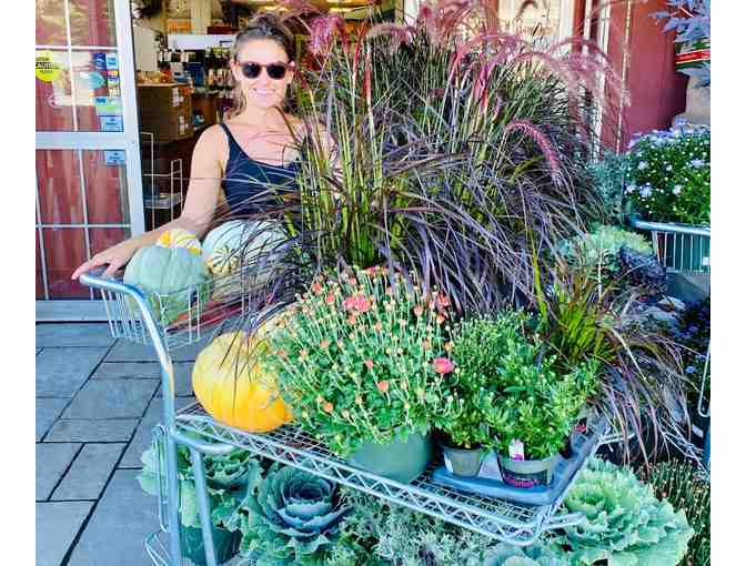 $100 Gift Card to Estabrook's in Kennebunk