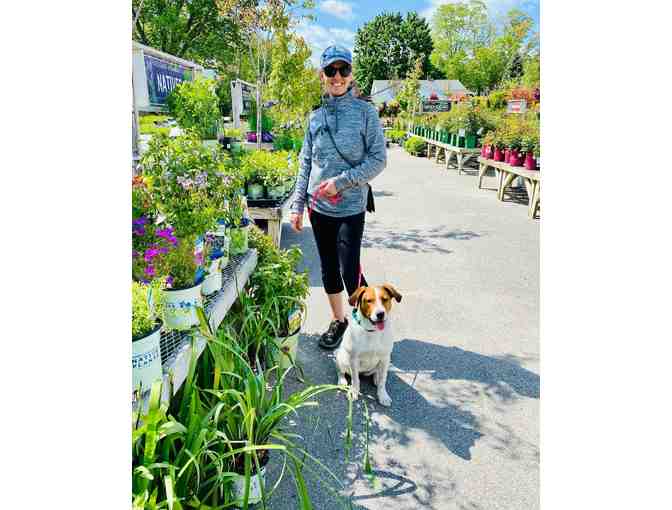 $100 Gift Card to Estabrook's in Kennebunk